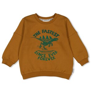 Sturdy - Sweater -  He Ho Dino - Brown