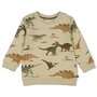 Feetje - Sweater -  He Ho Dino - Olive