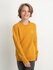 Petrol - Boys sweater round neck - Mineral Yellow_