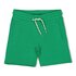 Sturdy - Short - Gone Surfing - Green_